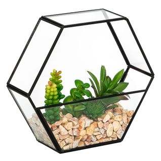 Plantes Artificielles Terrarium Hexagonal En Verre H 23 Cm