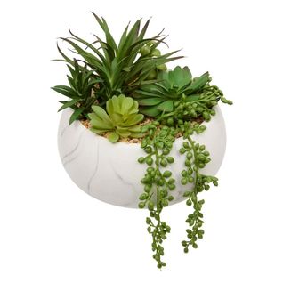 Plante Grasse Artificielle "jesty" 21cm Multicolore