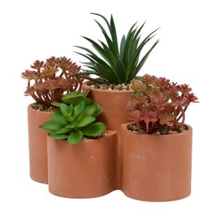 Plantes Grasses Artificielles En Pot "wonj" 22cm Terracotta