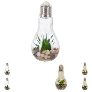 Objet lumineux LAMPE AMPOULE PLANTE