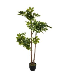 Plante Artificielle Schefflera En Pot  H 135 Cm