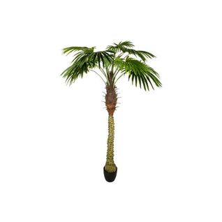 Plante Artificielle Déco "palmier" 180cm Vert