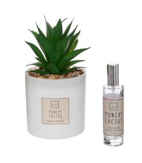 Coffret Senteur Cactus Plante Décorative Et Son Spray De Parfum
