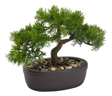 Bonsaï artificiel H. 23 cm Vert