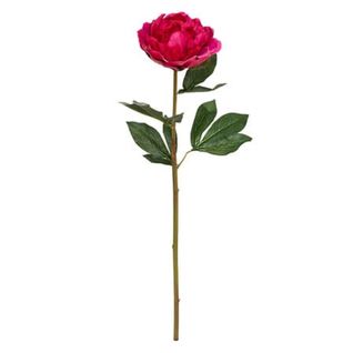 Tige Pivoine  H. 68 cm - Rose ou blanc