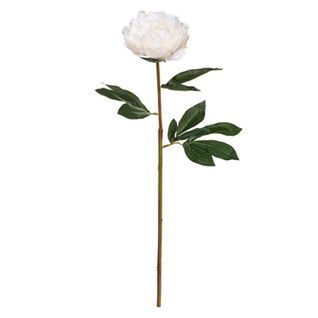 Tige Pivoine  H. 68 cm - Rose ou blanc