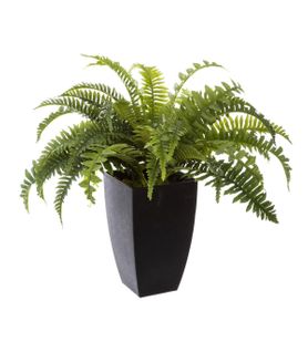 Plante Artificielle Fougères En Pot H 55 Cm