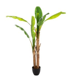 Grand Bananier Double Artificiel H 160 M