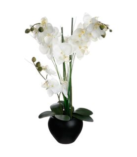 Plante Artificielle Orchidée Dans Un Pot En Céramique Noire H 53 Cm