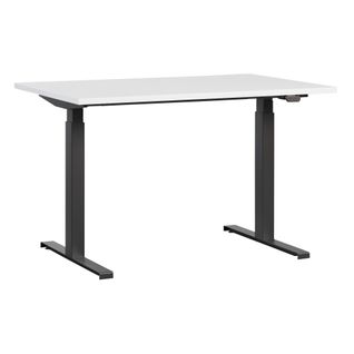 Bureau assis debout électrique FLEX PRO L.120-P.80 cm blanc / noir