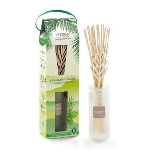 Bouquet Initial Citronnelle Et Menthe 100 Ml En Verre