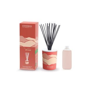 Bouquet Parfumé Terre D'ocre Karité 100 Ml En Céramique