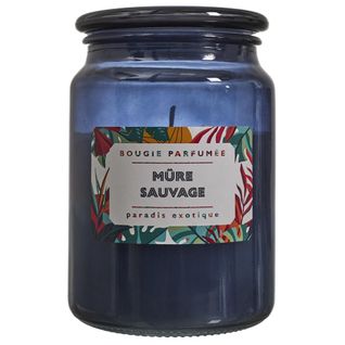 Bougie Parfumée 72 H Paradis Exotique à La Cire De Paraffine Senteur Mûre Sauvage
