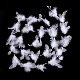 Guirlande De Noël Plumes Et Perles - 2 M