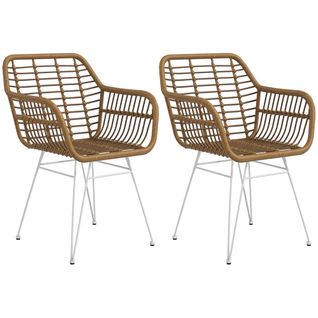 Lot De 2 Chaises De Salon Style Bohème Acier Blanc Résine Tressée Marron