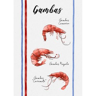 Lot De 3 Torchons En Coton Lavé Fruits De Mer - 50x70 Cm - Ecru