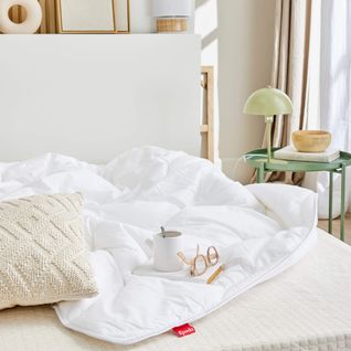 Couette Aloe Vera Hiver Anti-acariens 260x240