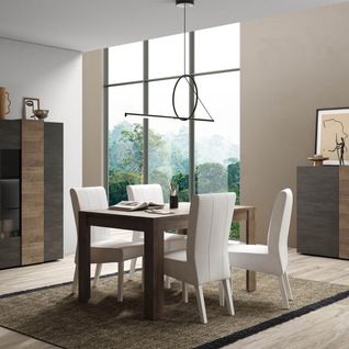 Ensemble Séjour Gris Anthracite Et Aspect Bois Finition Mercure - Vesuvio Titane