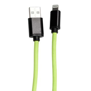 Câble Charge Rapide 2a Type Compatible iPhone / iPad / Ipod Phosphorescent 2 Mètres -