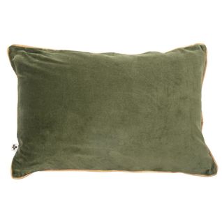 Coussin Déhoussable 40x60cm Velours De Coton Coloris Thym - Harris