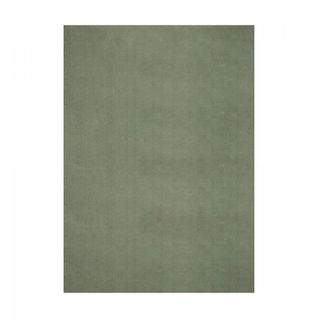 Tapis Cuisine 120x160 Lyn10 Lavable Vert Uni, Tapis Shaggy à Longs Poils