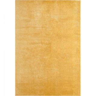 Tapis Grand Salon 200x280 Lyn10 Lavable Or Uni, Tapis Shaggy à Longs Poils