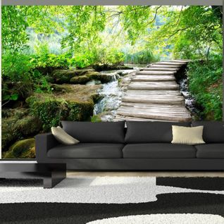 Papier Peint Chemin Forestier 350 X 245 Cm Vert