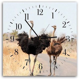 Horloge Décorative Avec Duo D'autruches Sauvages 60 X 60 Cm Beige