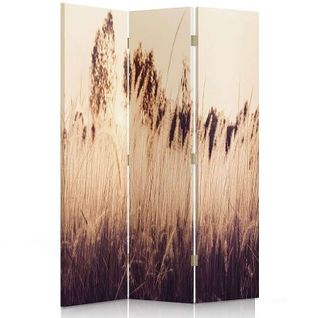 Paravent Design Herbe Haute En 3 Volets Pour Intérieur 110 X 180 Cm - 2 Faces R° V° Beige