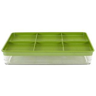 Plateau De Germination "graines" 30cm Vert