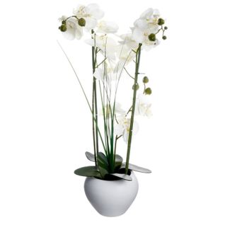 Orchidée Artificielle Avec Vase En Céramique Blanc - H. 53 Cm