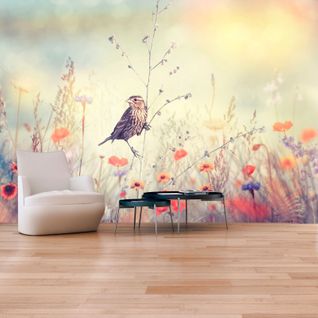 Papier Peint Adhésif Oiseau Des Champs 392 X 280 Cm Beige