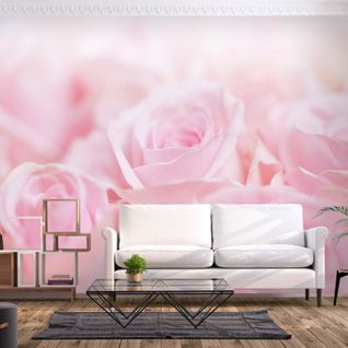 Papier Peint Ocean Of Roses 400 X 280 Cm Rose