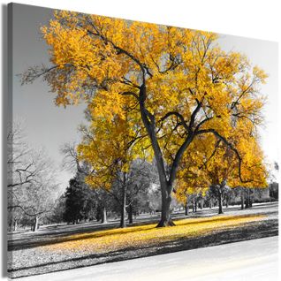 Tableau Automne Dans Le Parc (1 Partie) Wide Gold 90 X 60 Cm Jaune