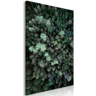 Tableau Survol De La Forêt (1 Partie) Vertical 40 X 60 Cm Vert