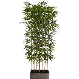 Séparateur Bambou Vert Décoratif Pour Intérieur Élégant