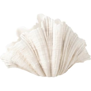 Vase Coquillage Décoratif En Polyresine Beige Élégant