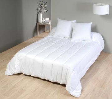 Couette Mi-saison Anti-acariens 350g 240x220