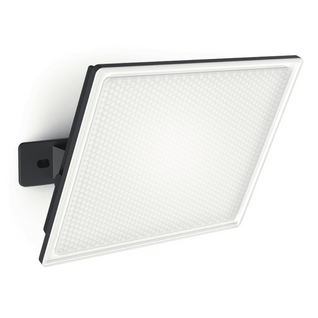 Projecteur LED Mural Noir, 50 W, 4200 Lumens