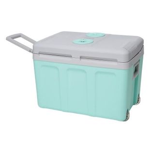 Glacière Thermoélectrique - 40l - 12/220v