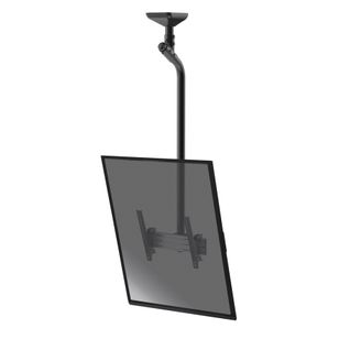 Support Plafond Inclinable Pour 1 Écran Portrait 43''-75'' - Hauteur 175cm