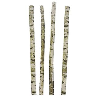 Troncs De Bouleau Décoratifs (lot De 4)