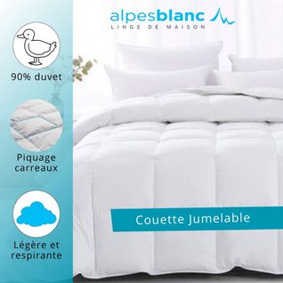 Couette Été Naturelle 240x220 En Duvet 130 Gr/m² - Alpes Blanc