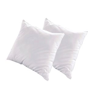 Lot De 2 Oreillers Natura 65x65 Cm Duvet et Plumess