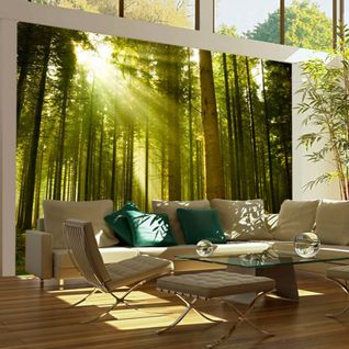 Papier Peint Forêt De Pins 350 X 270 Cm Vert