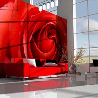 Papier Peint L'éveil De La Rose 200 X 154 Cm Rouge