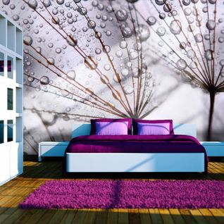 Papier Peint Pissenlit Et Rose Du Matin 400 X 309 Cm Blanc