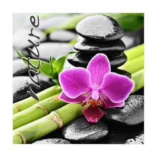 Lot De 20 Serviettes Papier Nature