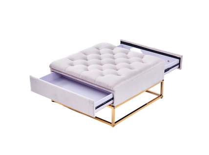 Table Basse Rangements Tiroirs Plateau Velours Capitonné