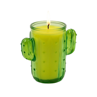 Bougie Citronnelle Cactus En Pot – Anti-moustique Extérieur Durable